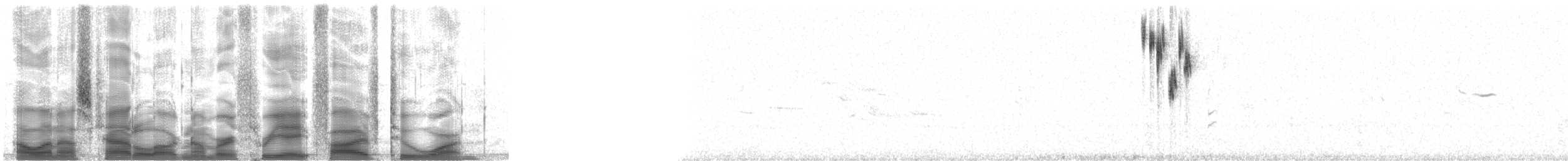 Chingolo de Henslow - ML38521