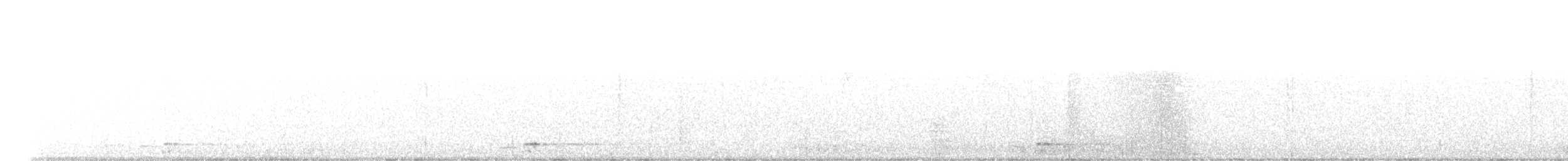Grand Corbeau - ML385230181