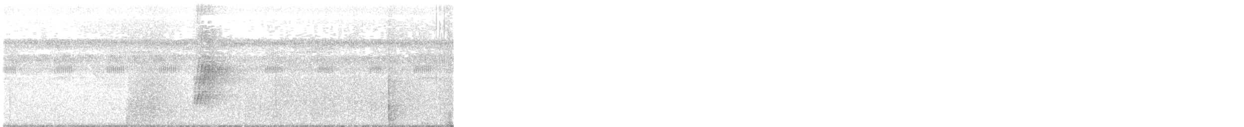 Пласкодзьоб західний - ML385247001