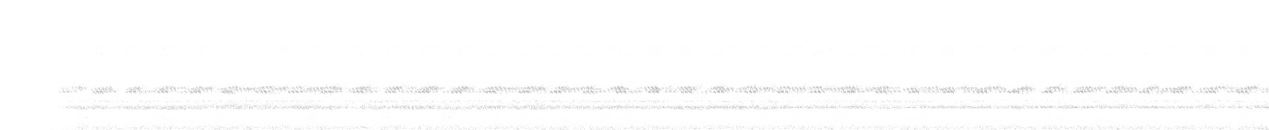 Chevêchette naine - ML385299471