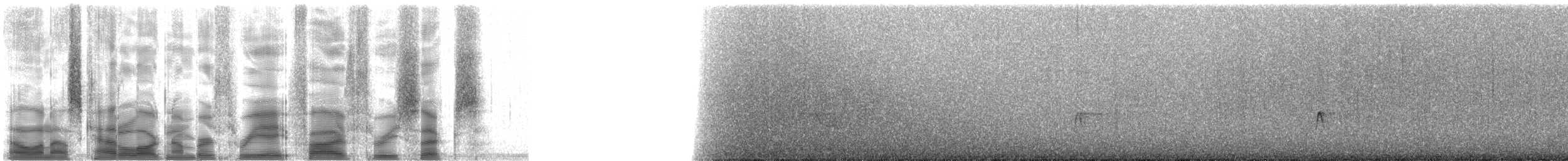 Kızılağaç Sinekkapanı - ML38536