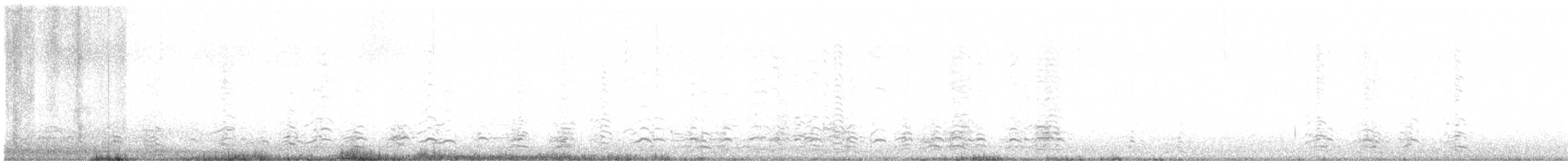Малая канадская казарка - ML385360551