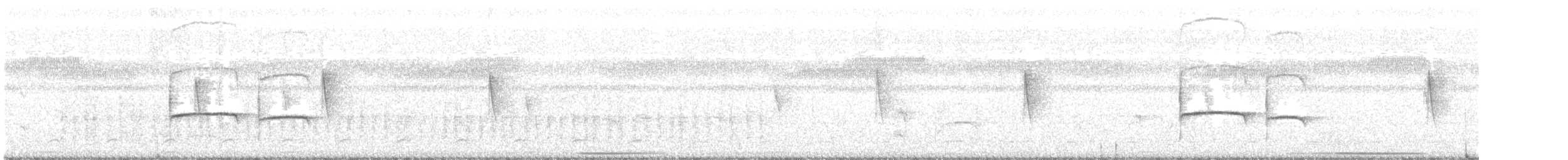Тиранчик-тонкодзьоб південний - ML385436481
