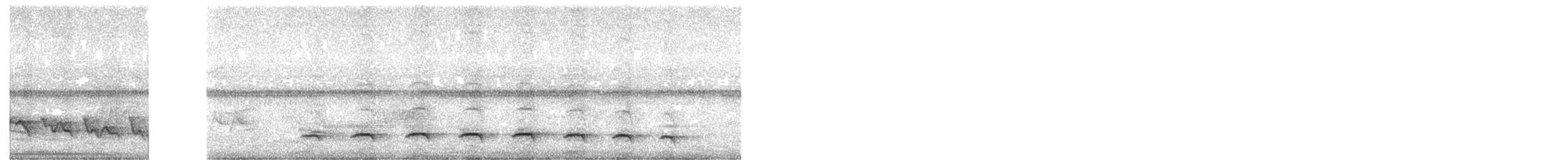 Olivgrau-Ameisenvogel - ML385459291