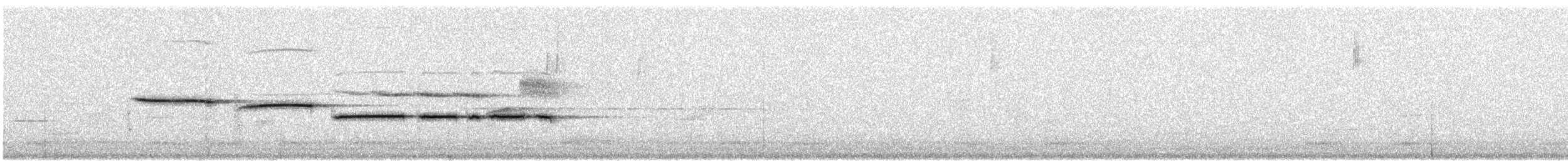 strnadec bělohrdlý - ML385462921