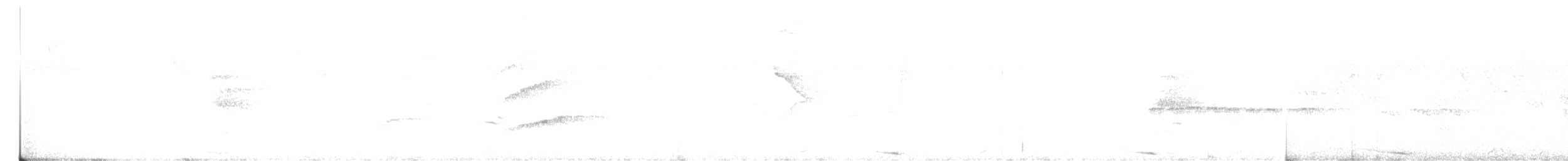 holub neotropický - ML385520601