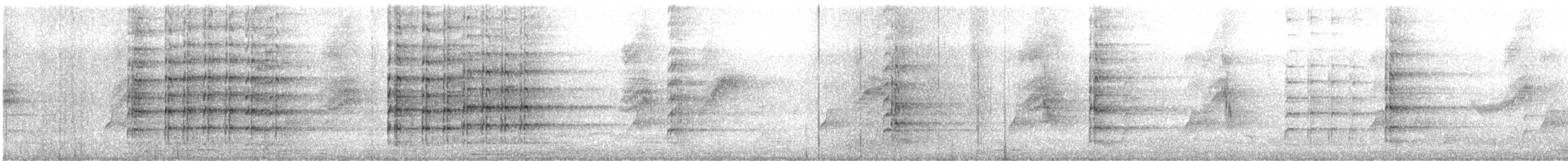 Чайка білошия (підвид miles) - ML385525901