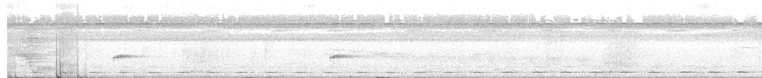 Black-tailed Trogon - ML385556631
