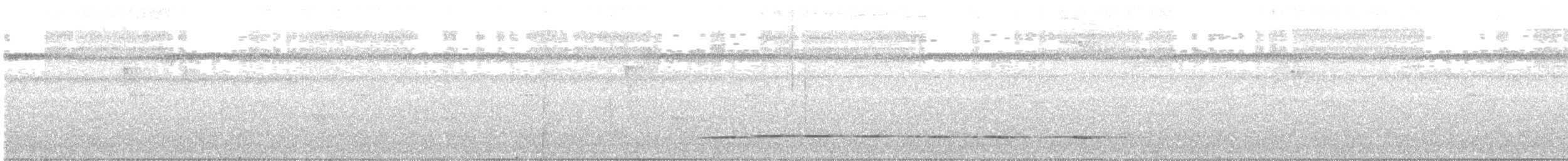 Tororoí de Anteojos (perspicillatus) - ML385561881