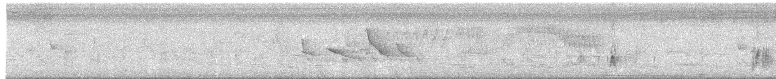 Olivaceous Elaenia - ML385588141