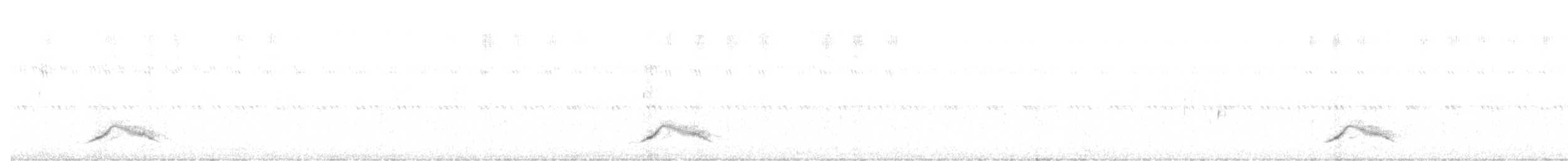 Pauraquenachtschwalbe - ML385625011