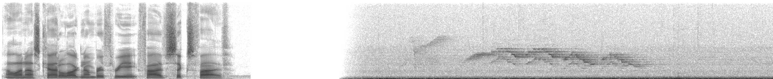 Дрізд-короткодзьоб бурий - ML38565