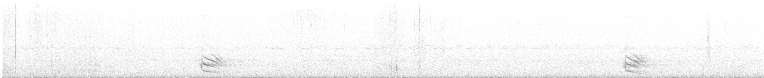 Australian Owlet-nightjar - ML385656911