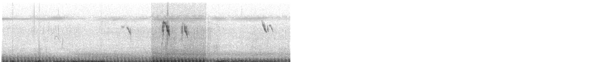 konipas luční/východní - ML385718581