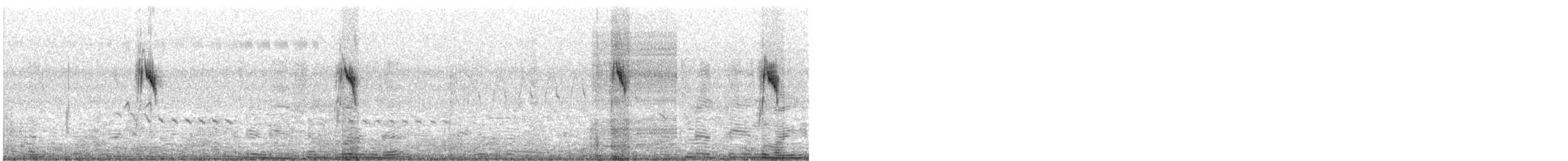 konipas luční/východní - ML385718631