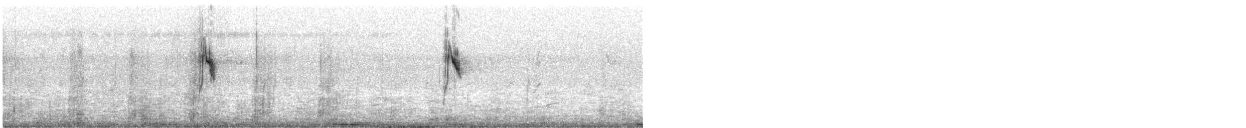 konipas luční/východní - ML385718641