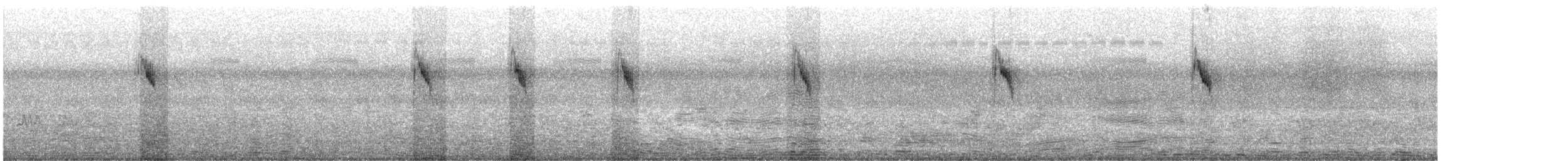 konipas luční/východní - ML385718681