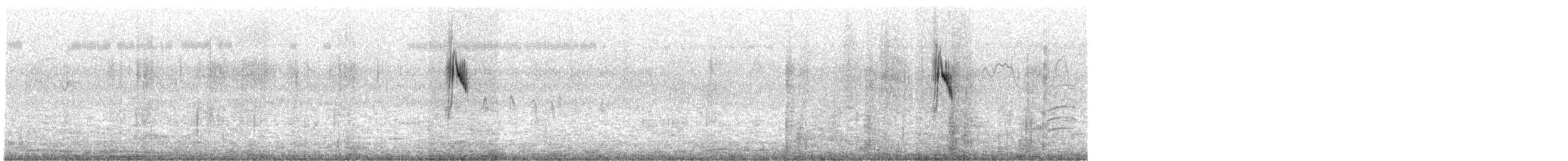 konipas luční/východní - ML385718691