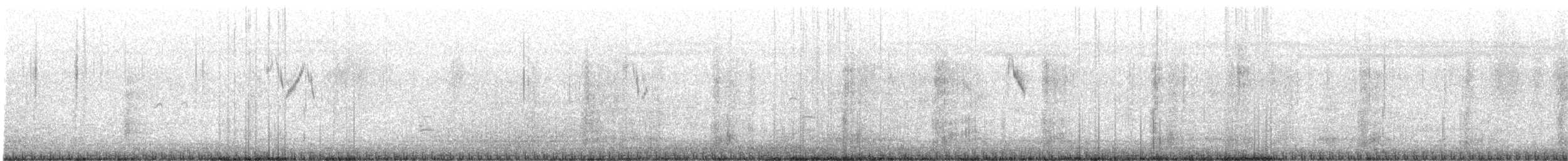 konipas luční/východní - ML385718721