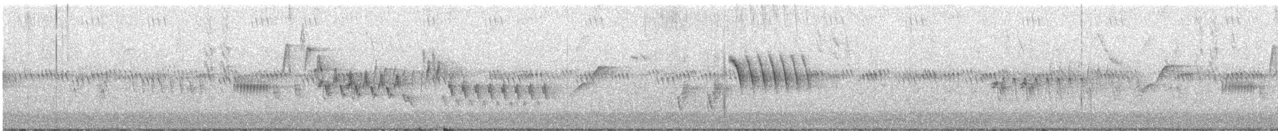 Northern House Wren - ML385728571