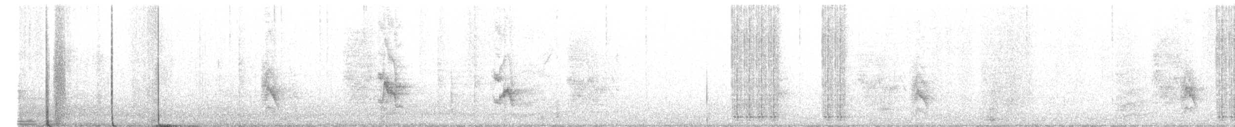 Тауї плямистий/східний - ML385859721