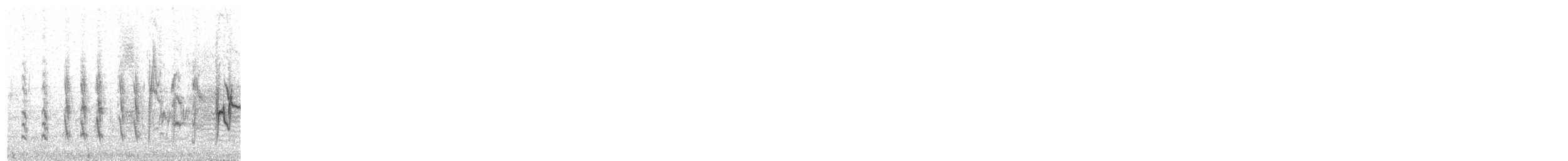 Black-chinned Siskin - ML385864191