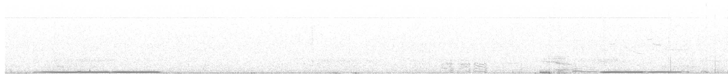 Gallo de las Praderas Grande (attwateri) - ML38587841