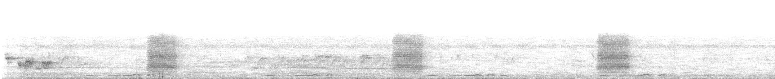 Абиссинская сизоворонка - ML385914091