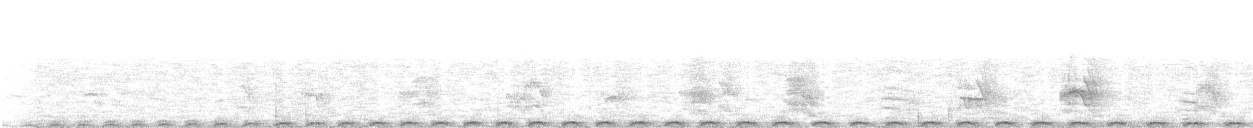 holub skvrnitý - ML385921111
