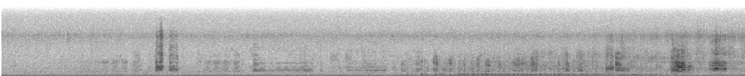 אווז אחו טונדרה - ML385947161