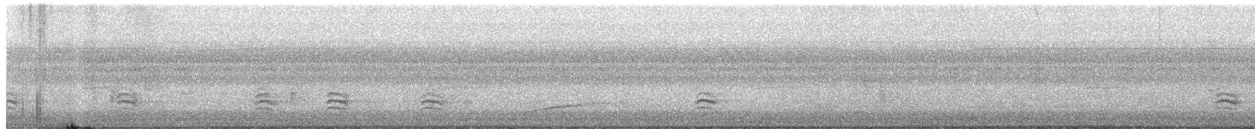 Weißbrustkleiber (carolinensis) - ML385979511
