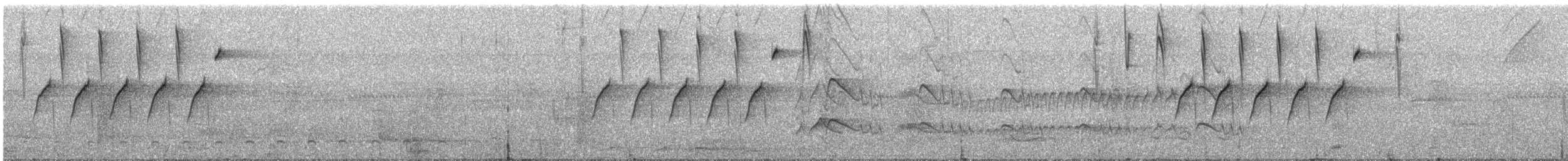 Zuckervogel - ML386019471