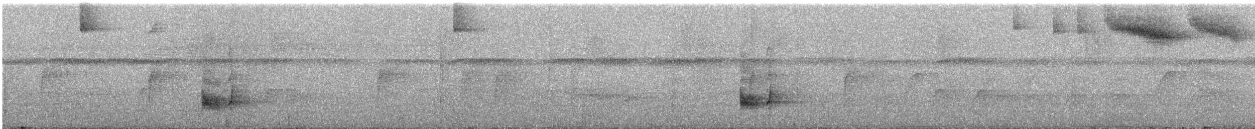 Dwarf Tyrant-Manakin - ML386019601