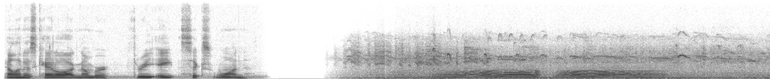 Atlantic Puffin - ML3861