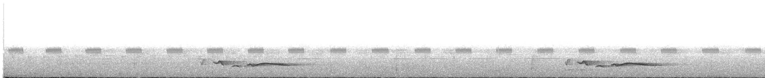 Зернолуск білогорлий - ML386135491