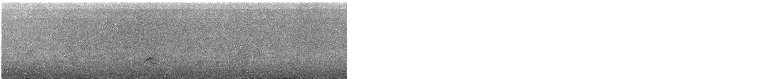 太平洋金斑鴴 - ML386239751
