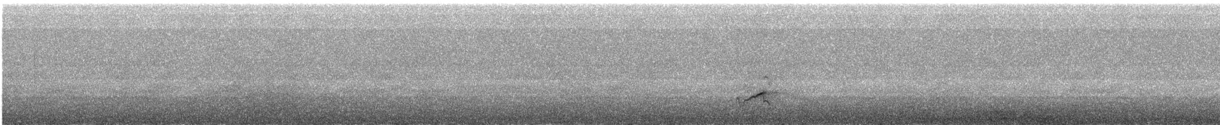 太平洋金斑鴴 - ML386239791