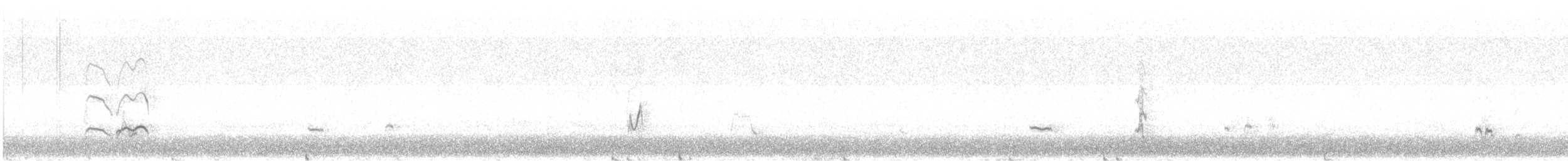 太平洋金斑鴴 - ML386244641