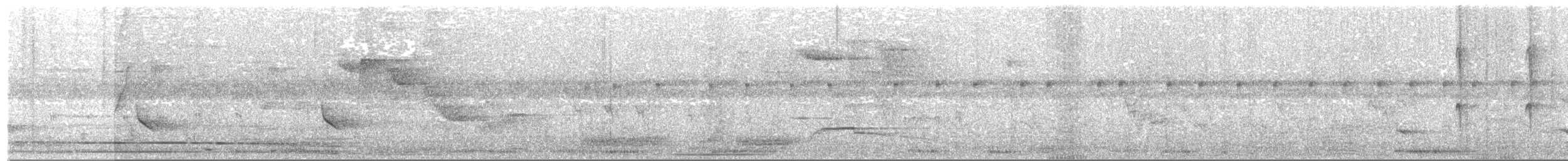 Tinamou à grands sourcils - ML386394111