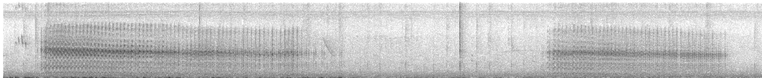 Schwarzkopf-Zwergtaucher - ML386453381