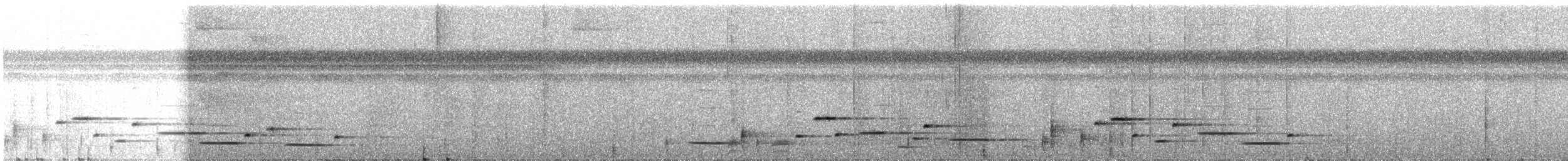 Troglodyte arada - ML386466851