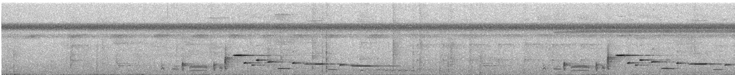 Troglodyte arada - ML386466921