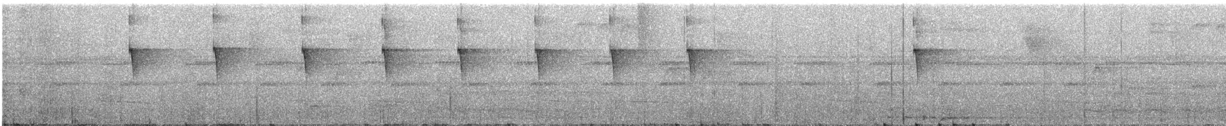 Painted Tody-Flycatcher - ML386484901