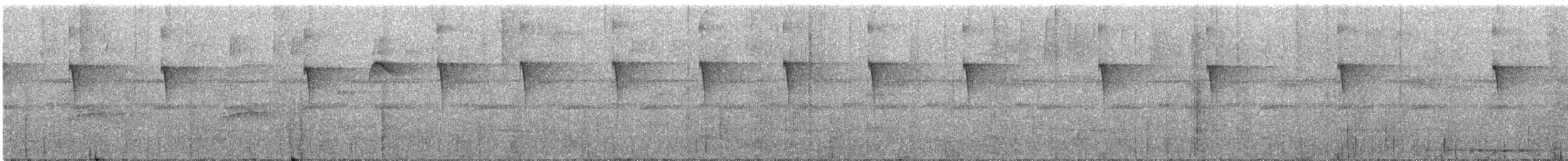 Painted Tody-Flycatcher - ML386484921