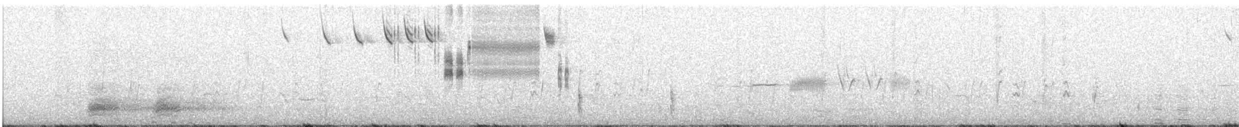 musespurv (sandwichensis gr.) - ML386486341