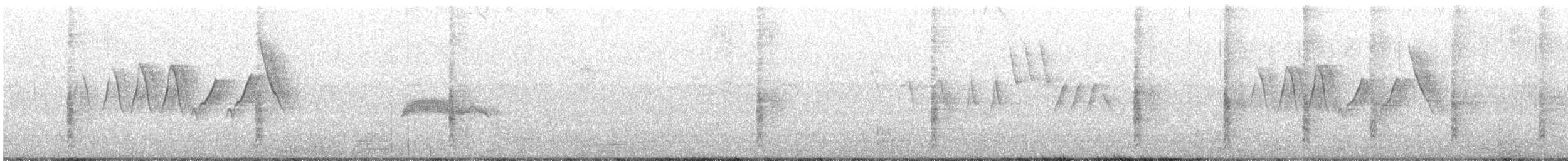 Blasskehl-Schnäppertyrann - ML386511951