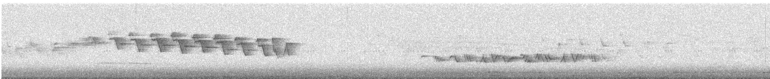 Yellow-throated Warbler - ML386512601