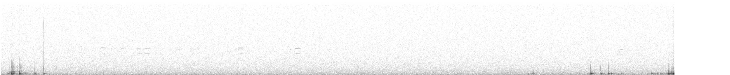 White-winged Crossbill - ML386548021