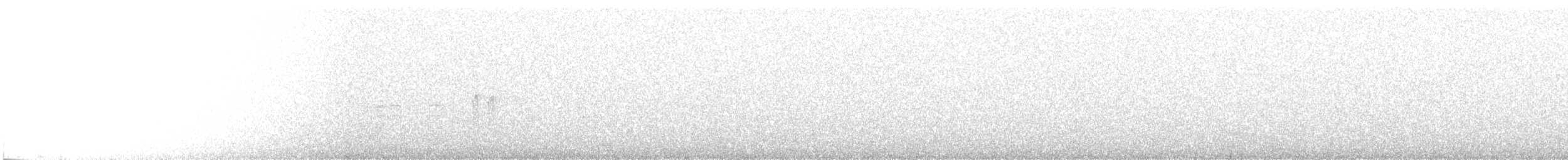 křivka bělokřídlá - ML386548101