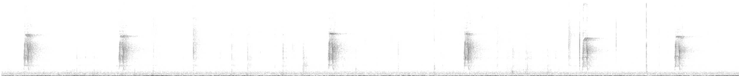 strakapoud americký - ML386603081